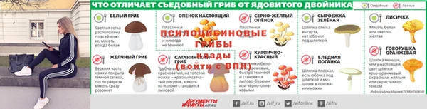 ешки Алексеевка