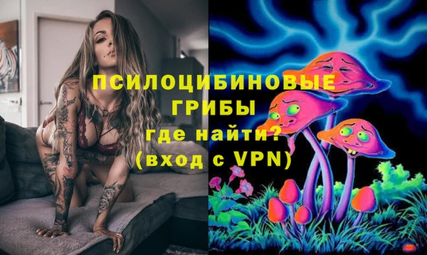 таблы Алзамай