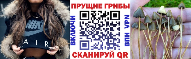 Псилоцибиновые грибы MAGIC MUSHROOMS что такое Юрьевец